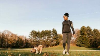 ActiveDogMonth(0_60483
