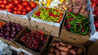 Herbs and vegetables in containers LNN