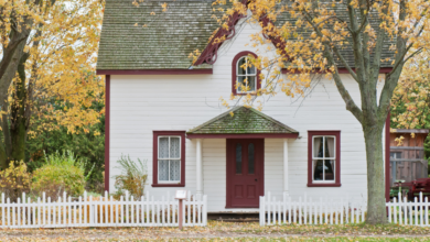 LNN Featured Image_1 (11)