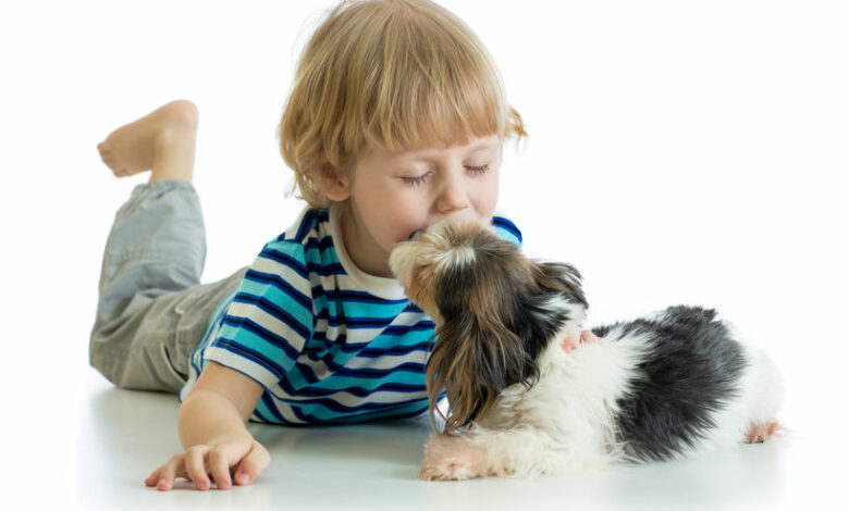 Does your three- to five-year-old know their ABC’s?