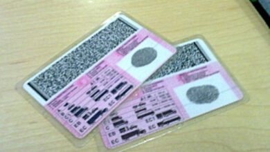 driving-licences