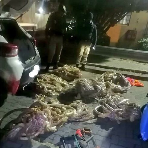 Suspects caught red-handed stealing optical fibre in Gillview ...