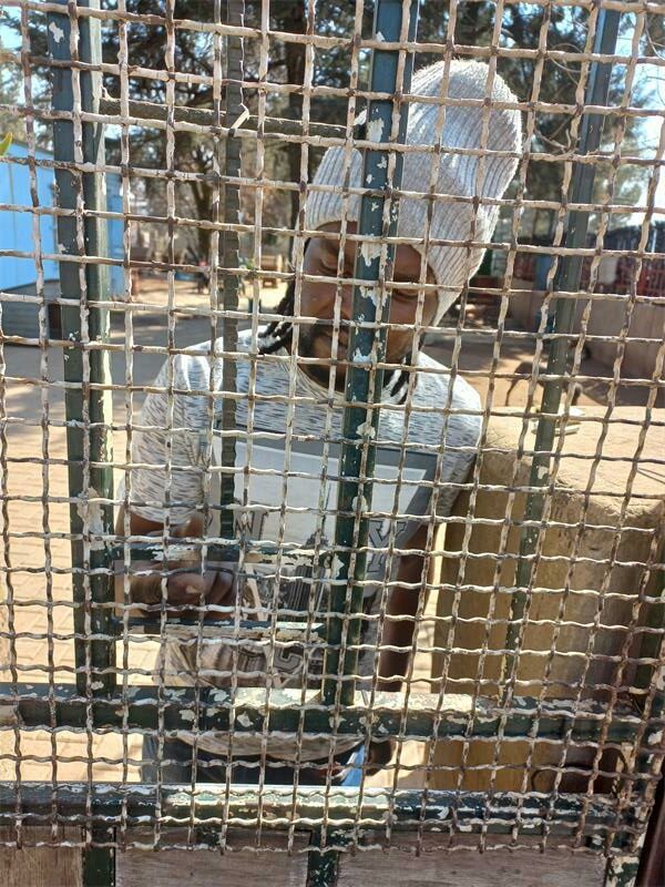 2335Lshooting(1)_65676