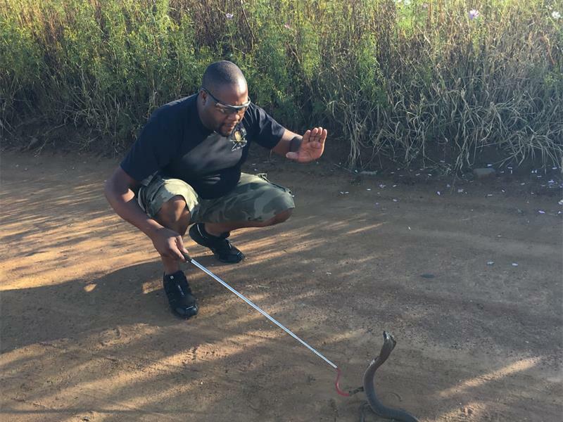 WhatsAppImage2023_18132