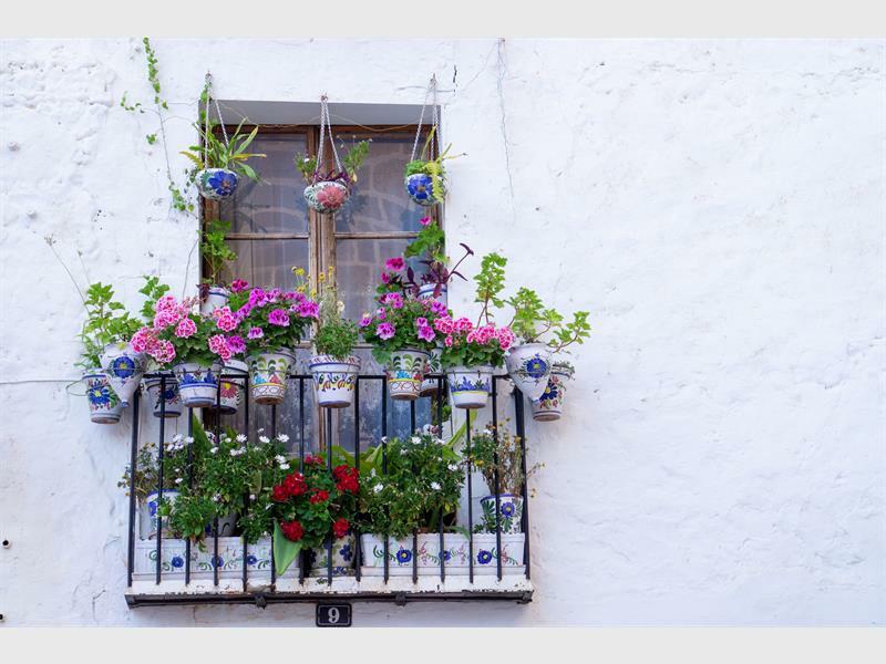 pexels-crono-viento_46749
