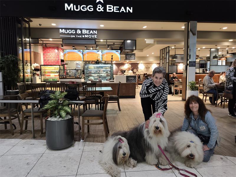 Sue Green and her three fluffy companions are turning heads and warming hearts during their weekly visit to the mall.