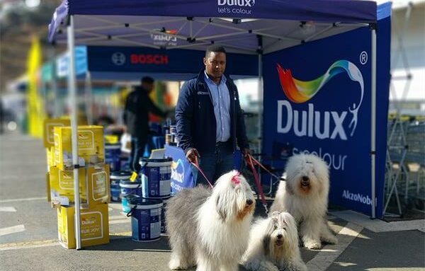 Crowds gathered to meet Jade, Orion and Yola, with many excited to learn that Orion is the star of the Dulux Easycare advert and lives in Glenvista.