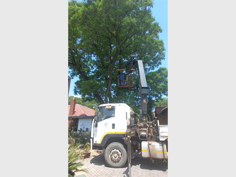 Stepping Stone Hospice invites the community to a special evening of remembrance and celebration as their annual tree-lighting ceremony returns to the Children’s Unit in Raceview on November 28.