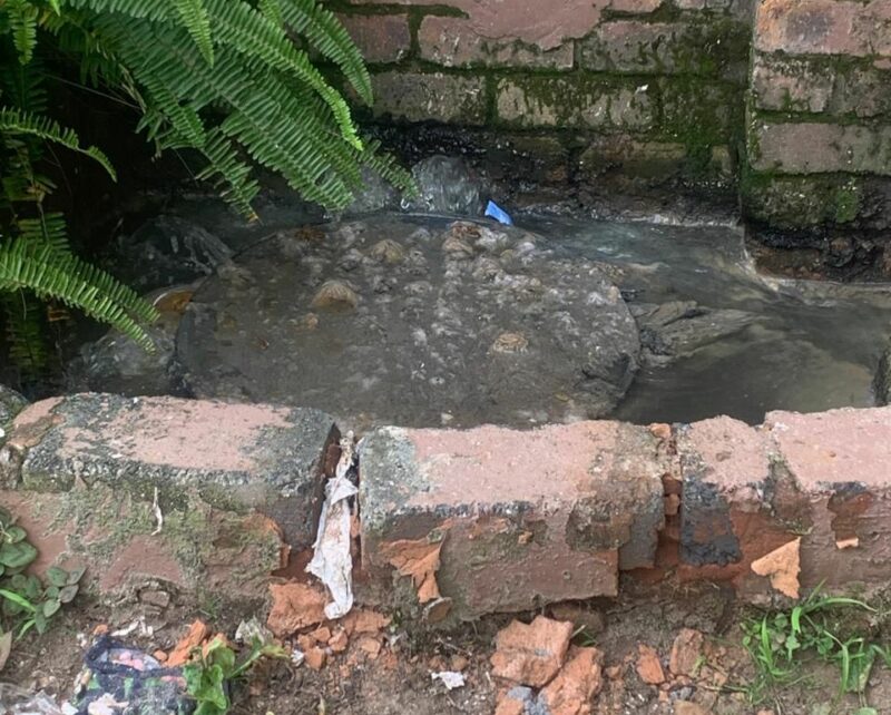 A South Crest resident has slammed service delivery failures in South Crest, saying overgrown intersections, blocked drains, and potholes left the community frustrated during the festive season.