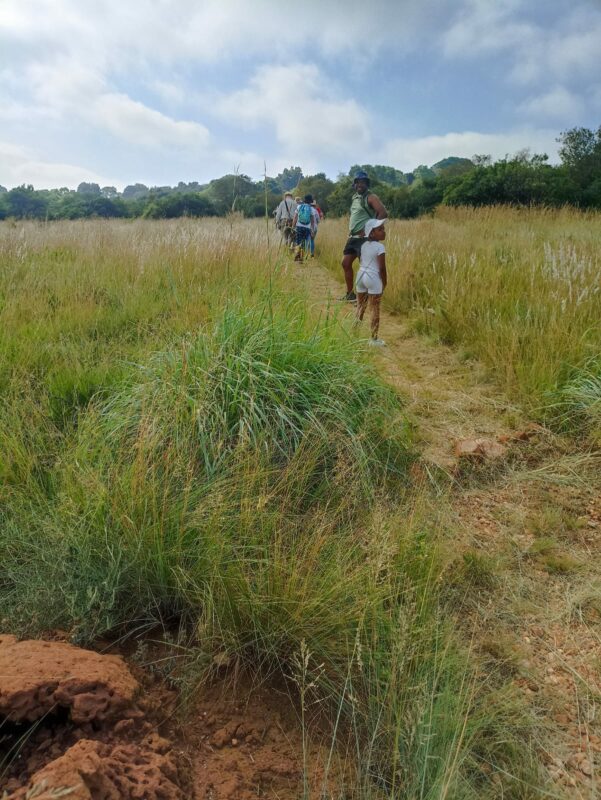 All income goes to maintain the Koppies.