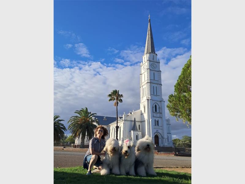 JOY Dogs Jade, Orion and YoYo had a whirlwind tour to the Garden Route recently.