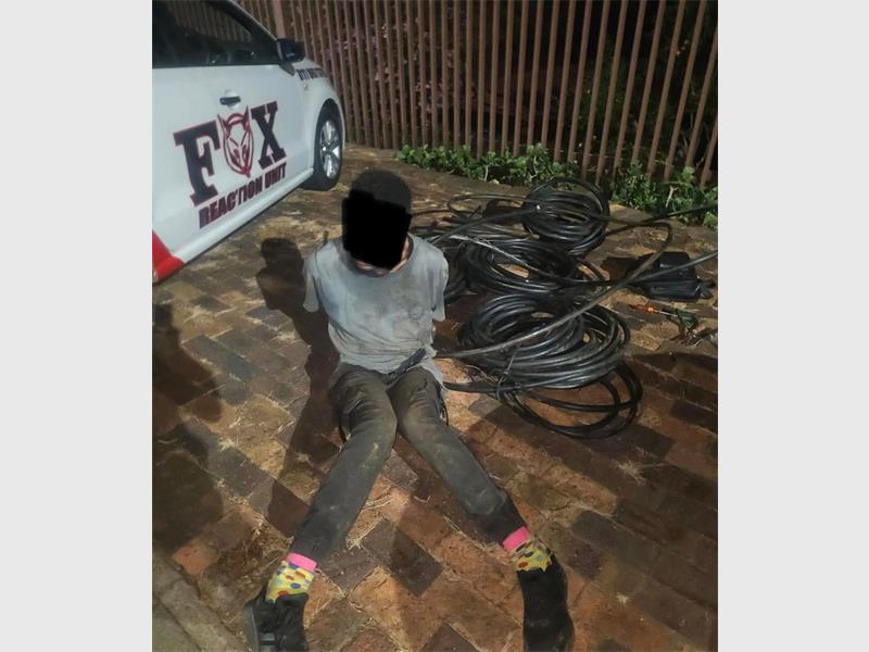 Mondeor SAPS praise private security's efficiency.