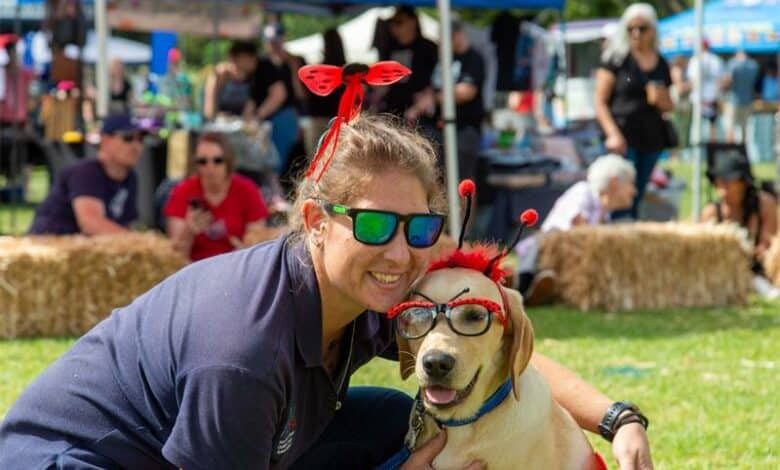 The SA Guide-Dogs Association for the Blind is delighted to announce the return of its annual family fun day, taking place on March 8 at its Johannesburg premises.