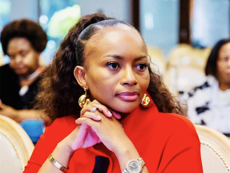 Public participation is encouraged in these consultation meetings.