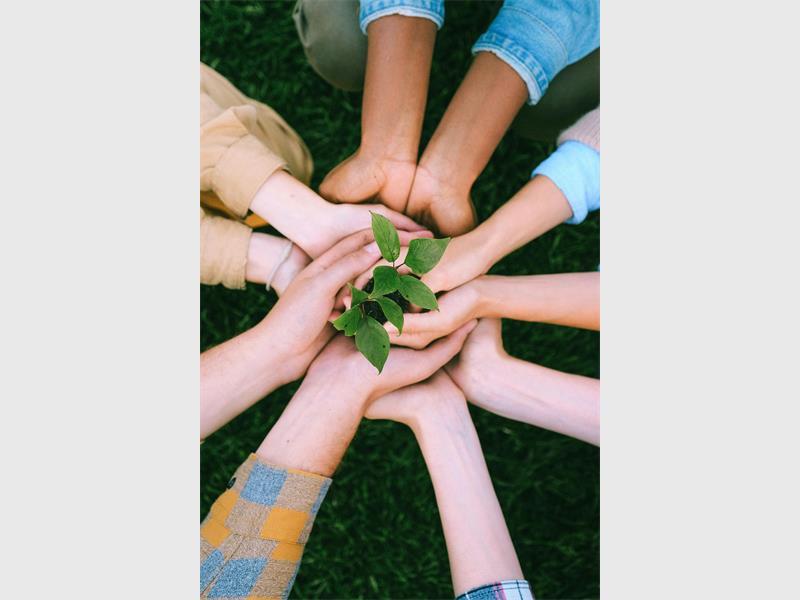 As South Africa prepares to mark Human Rights Day, Johannesburg City Parks and Zoo is calling on learners to lead a 'green revolution' by planting trees, cleaning parks and protecting the city’s natural spaces.