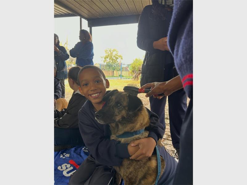 A visit from Top Dogs leaves a lasting impact as learners build emotional skills, confidence and meaningful connections through guided interaction with therapy animals.