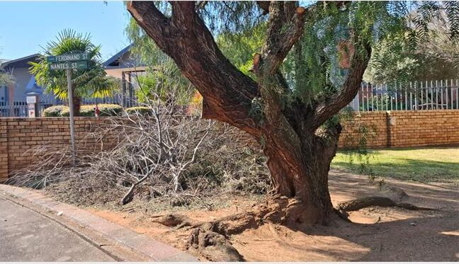 Frustrated Suideroord residents say tree branches cut by City Parks more than two months ago are still lying along Nantes Street, despite repeated complaints and requests for assistance.