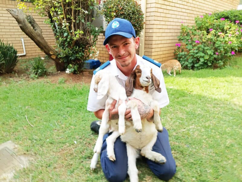 Hazel and Greta are recovering at the Johannesburg SPCA after being found abandoned under horrific circumstances.