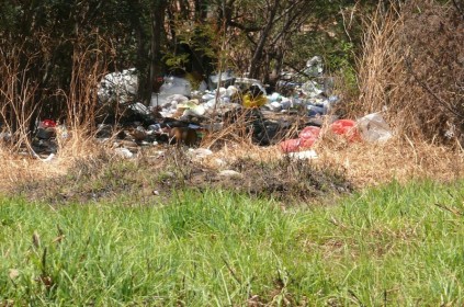 Rubbish is piling up in the veld at the bottom of Sophie Street, Linmeyer