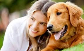 pets1
