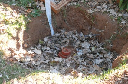 Leaves partially cover the water hydrant.