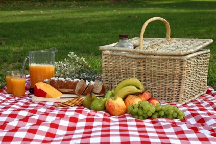 Picnic_Eating (Medium)