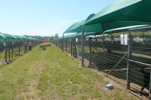 P1140028