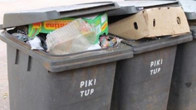 Pikitup_540226293-423x317