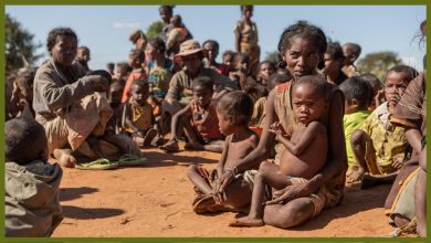 methode_times_prod_web_bin_10bdf28a-0995-11ec-9503-f24d9e0411ae