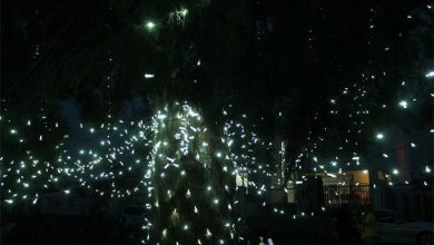 TREEOFLIGHTS(1)_30366