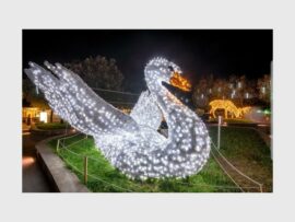 FESTIVELIGHTS_22926