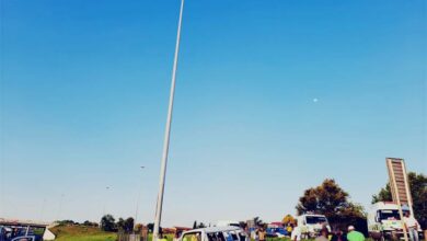 [GERMISTON]-Taxirol_14776