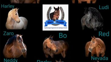 IMG-20211207-WA0063_80212