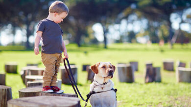 gettyimages-542511175-612x612