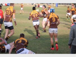 IMG_1306_76362