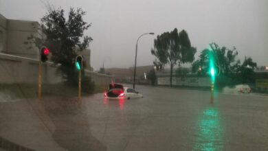 261636301_4611105918935965_3884024736544550262_n