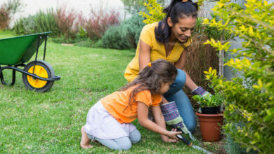 How gardening can develop your child's sensory inputs