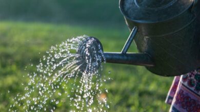 ElanaWagner-18-10-2021-Home-WaterHabits.2 (Medium)