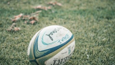 pexels-nayla-charo-5116575