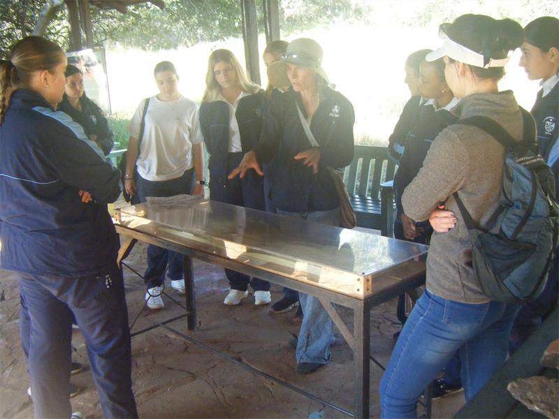 Melville Koppies is actively recruiting and training people who care about the environment and those who want to participate in conservation efforts.