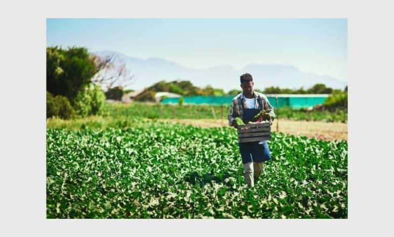 Transforming South Africa’s agricultural sector through an inclusive strategy