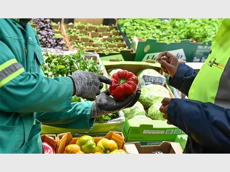 Transforming the Agricultural Sector through collaboration and opportunity.