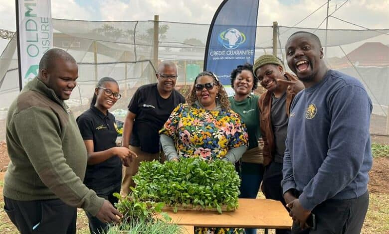 La Rochelle event brings together community members, sponsors, and volunteers to celebrate a sustainable farming initiative aimed at skill-building and fresh food access.