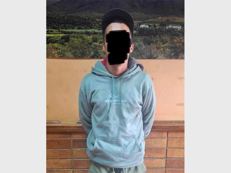 Fox Security and LPR cameras helped track and detain a suspect linked to multiple house burglaries, now in Mondeor SAPS custody.