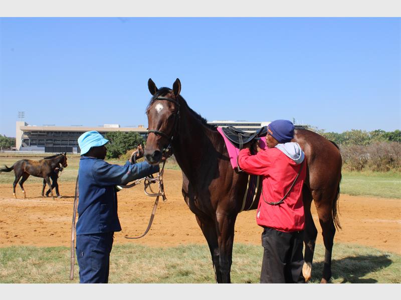The NSPCA and NHA face off over racehorse welfare as trainers, jockeys and animal advocates share their views on care, ethics and reform.