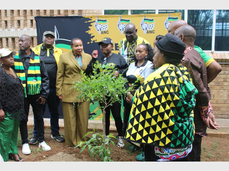 Local leaders, volunteers, and learners joined hands at Glenvista High School for a tree-planting initiative supporting Johannesburg’s goal to create a greener, climate-smart city.