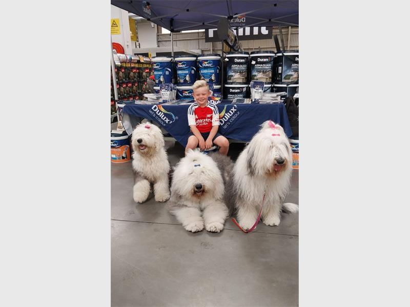 The beloved dogs stole the show during a meet-and-greet, delighting shoppers with cuddles and photos.