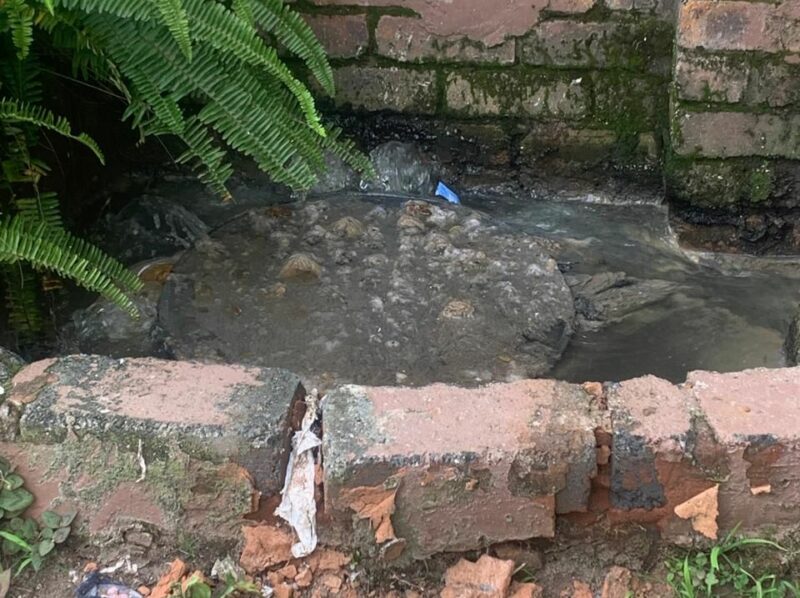 A South Crest resident has slammed service delivery failures in South Crest, saying overgrown intersections, blocked drains, and potholes left the community frustrated during the festive season.