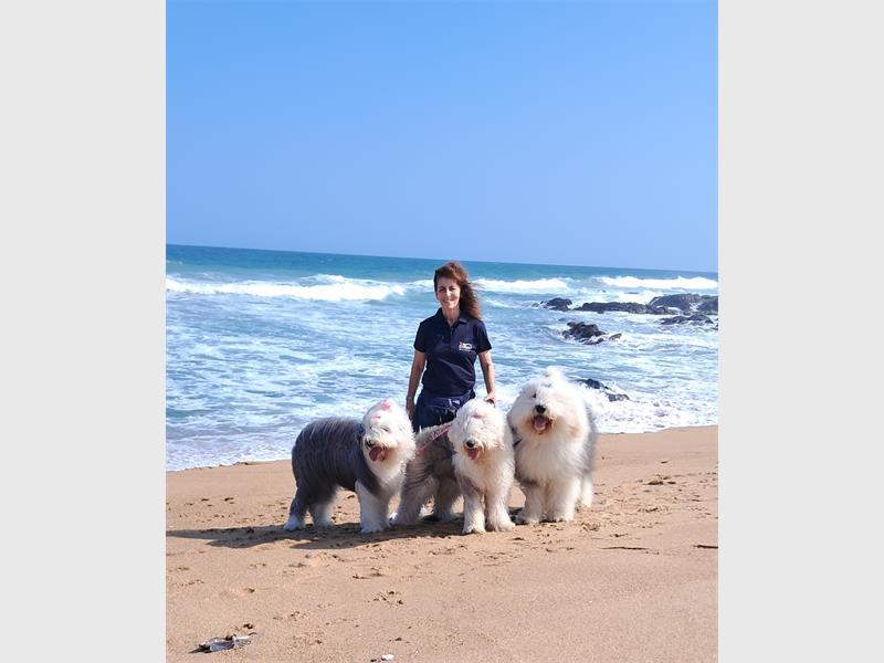 Owner, Sue Green shares highlights from the JOY Dogs’ successful and joy-filled visit to KwaZulu-Natal.