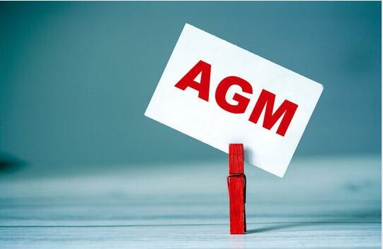 Discussion on the year's activities and future plans will be held.